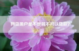 网贷黑户是不是就不可以贷款？