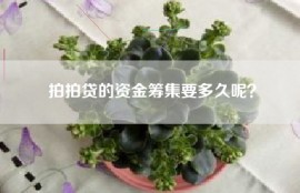 拍拍贷的资金筹集要多久呢？