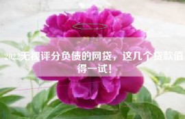 2022无视评分负债的网贷，这几个贷款值得一试！