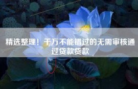 精选整理！千万不能错过的无需审核通过贷款贷款