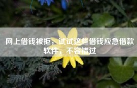 网上借钱被拒，试试这些借钱应急借款软件，不容错过