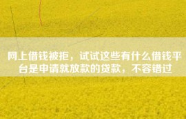 网上借钱被拒，试试这些有什么借钱平台是申请就放款的贷款，不容错过