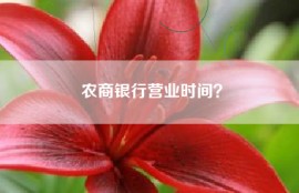农商银行营业时间？