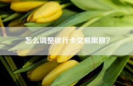 怎么调整银行卡交易限额？