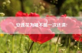 安逸花为啥不能一次还清?