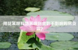 用花某呗和借某呗到底影不影响购房贷款？