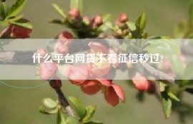 什么平台网贷不看征信秒过?