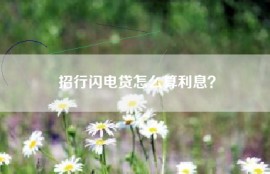 招行闪电贷怎么算利息？