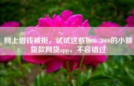 网上借钱被拒，试试这些1000-3000的小额贷款网贷app，不容错过