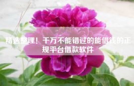 精选整理！千万不能错过的能借钱的正规平台借款软件