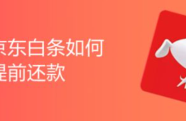 提前还款对京东白条24期利息的影响如何？