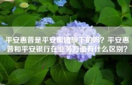 平安惠普是平安集团旗下的吗？平安惠普和平安银行在业务方面有什么区别？