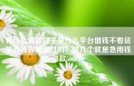 有什么借款口子是什么平台借钱不看征信而且容易通过的？这几个就是急用钱借款5000元