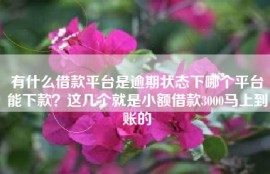 有什么借款平台是逾期状态下哪个平台能下款？这几个就是小额借款3000马上到账的