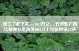 黑口子必下款app2022网贷app有哪些？精选整理分享急借5000马上到账网贷口子