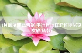 1月额度或已告罄 中行建行在沪暂停房贷发放(转载)