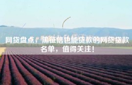 网贷盘点，黑征信也能贷款的网贷贷款名单，值得关注！