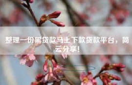 整理一份黑贷款马上下款贷款平台，简云分享！