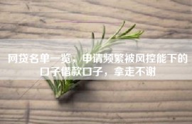 网贷名单一览，申请频繁被风控能下的口子借款口子，拿走不谢