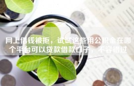 网上借钱被拒，试试这些用公积金在哪个平台可以贷款借款口子，不容错过