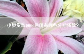 小额贷款10000急用有哪些分期贷款？