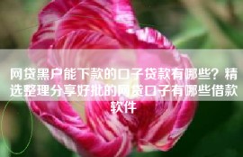 网贷黑户能下款的口子贷款有哪些？精选整理分享好批的网贷口子有哪些借款软件
