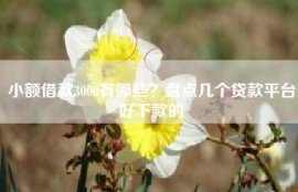 小额借款3000有哪些？盘点几个贷款平台好下款的