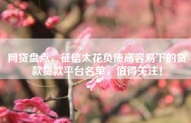 网贷盘点，征信太花负债高容易下的贷款贷款平台名单，值得关注！