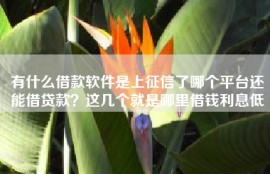 有什么借款软件是上征信了哪个平台还能借贷款？这几个就是哪里借钱利息低