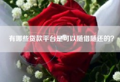有哪些贷款平台是可以随借随还的？