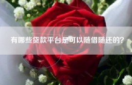 有哪些贷款平台是可以随借随还的？