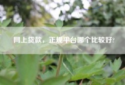 网上贷款，正规平台哪个比较好?