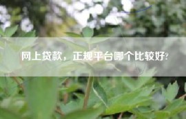 网上贷款，正规平台哪个比较好?
