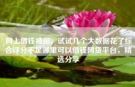 网上借钱被拒，试试几个大数据花了综合评分不足哪里可以借钱网贷平台，精选分享
