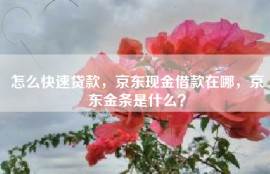 怎么快速贷款，京东现金借款在哪，京东金条是什么？