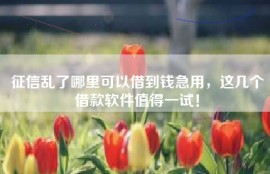 征信乱了哪里可以借到钱急用，这几个借款软件值得一试！