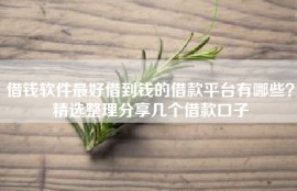 借钱软件最好借到钱的借款平台有哪些？精选整理分享几个借款口子