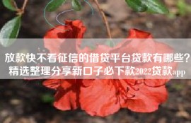 放款快不看征信的借贷平台贷款有哪些？精选整理分享新口子必下款2022贷款app