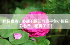 网贷盘点，必能下款的网贷平台小额贷款名单，值得关注！