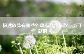 极速放款有哪些？盘点几个贷款app好下款的