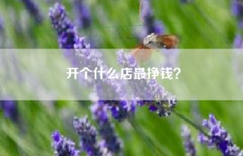 开个什么店最挣钱？