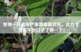 整理一份逾期严重哪里能贷款，这几个贷款平台口子了解一下！