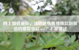 网上借钱被拒，试试这些直接放款到微信的借款贷款app，不容错过