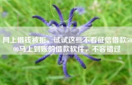 网上借钱被拒，试试这些不看征信借款5000马上到账的借款软件，不容错过