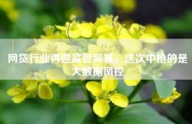 网贷行业再迎监管风暴，这次中枪的是大数据风控