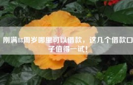 刚满18周岁哪里可以借款，这几个借款口子值得一试！