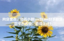 网贷盘点，借钱小额1000到3000好下款贷款平台名单，值得关注！