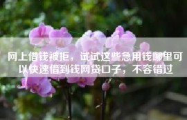 网上借钱被拒，试试这些急用钱哪里可以快速借到钱网贷口子，不容错过