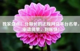 独家盘点！分期长的正规网贷平台名单，申请简单，到账快！