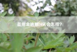 备用金逾期20天会怎样？